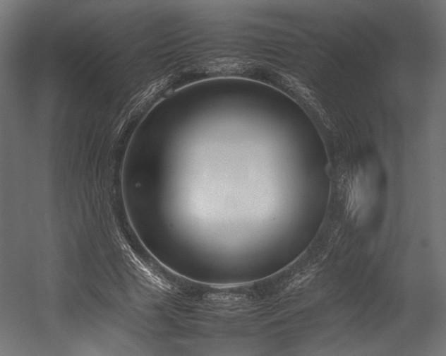 X0000054390633200507291144
