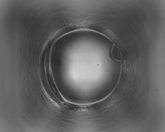X0000054390634200507291144