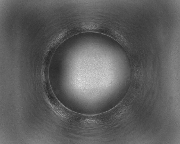 X0000054390635200507291144