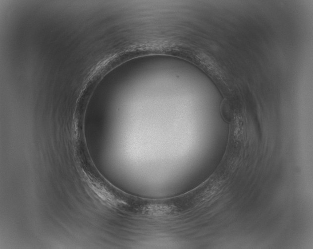 X0000054390636200507291144