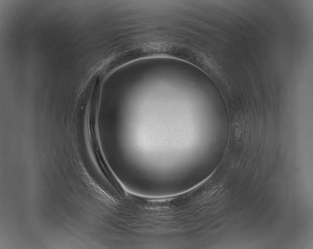 X0000054390637200507291144