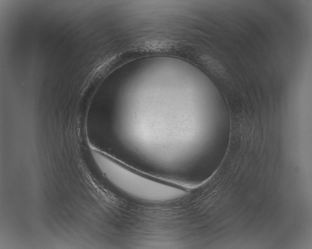 X0000054390640200507291145