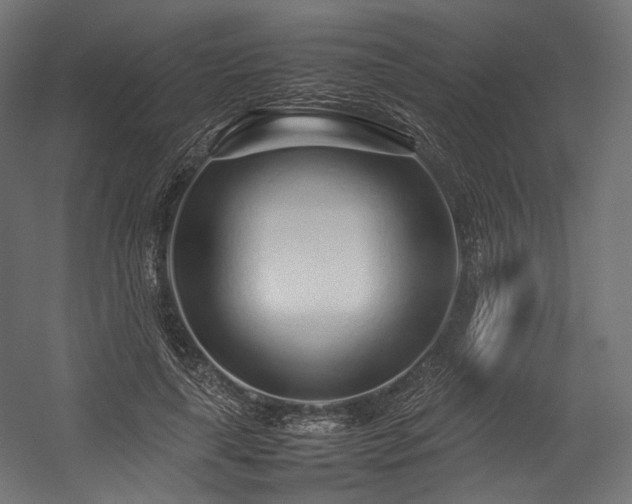 X0000054390643200507291145