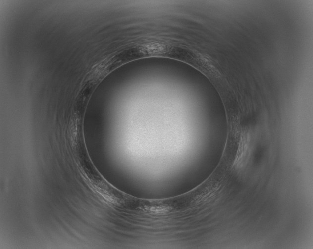 X0000054390645200507291145