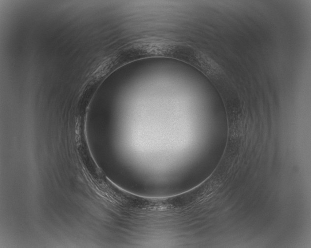 X0000054390646200507291145