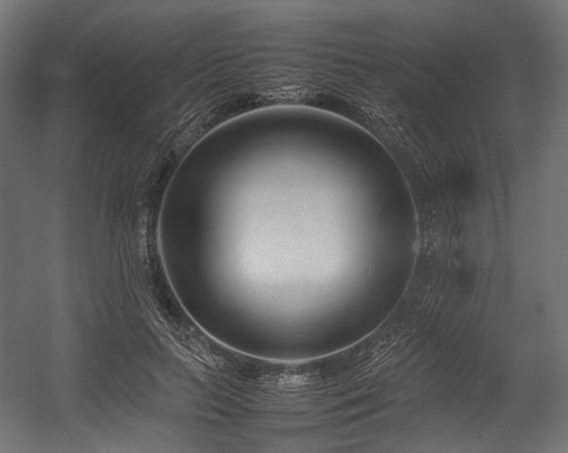 X0000054390647200507291145