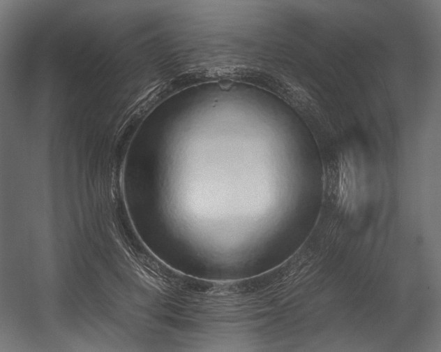 X0000054390648200507291145