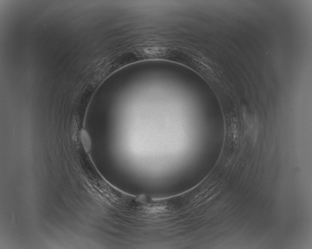 X0000054390651200507291145
