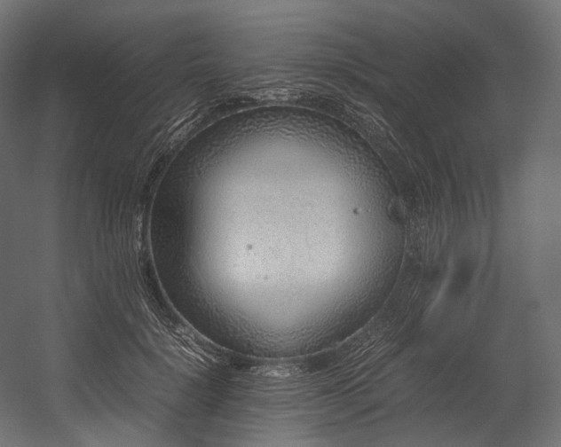 X0000054390652200507291145