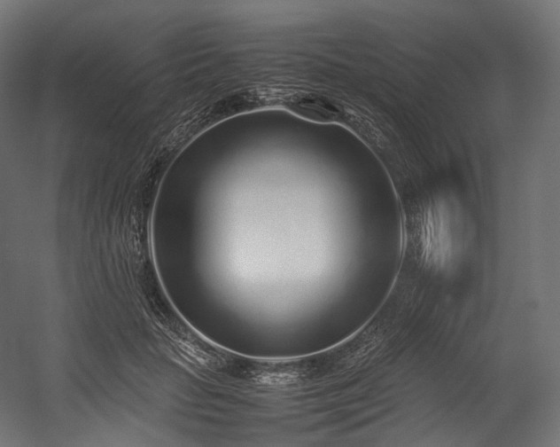 X0000054390653200507291145