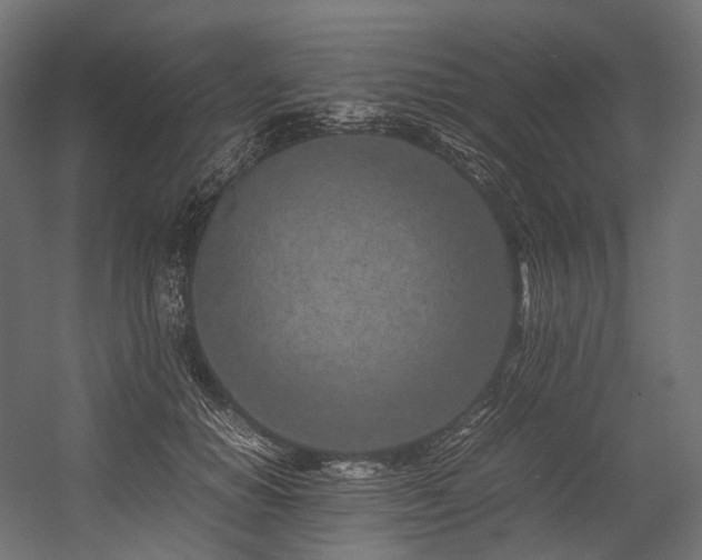 X0000054390654200507291145