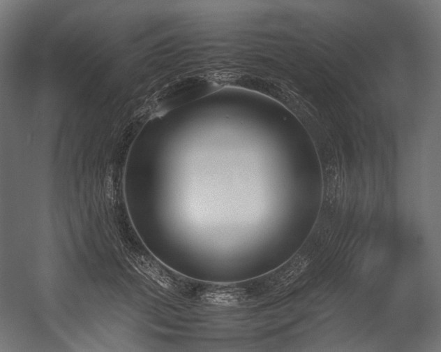 X0000054390655200507291145