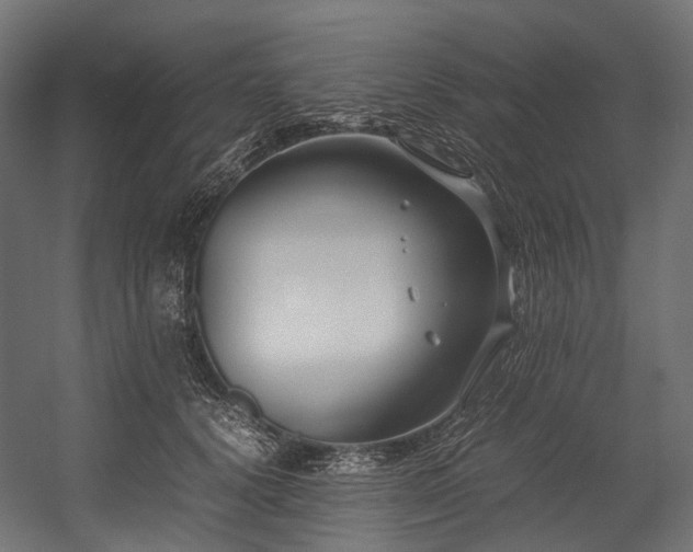 X0000054390656200507291145