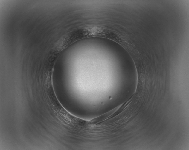 X0000054390657200507291145