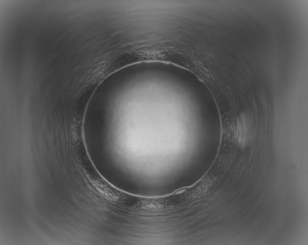 X0000054390658200507291145
