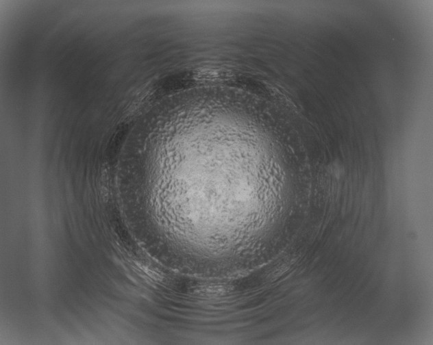 X0000054390659200507291145