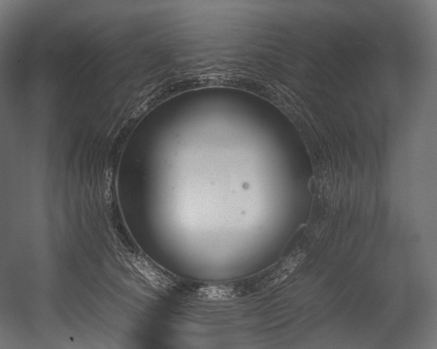 X0000054390660200507291145