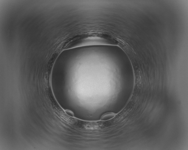 X0000054390661200507291145