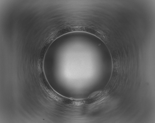 X0000054390662200507291145