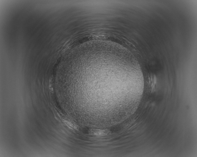 X0000054390663200507291145