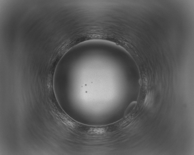 X0000054390665200507291145