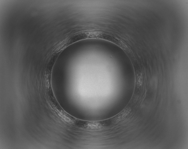 X0000054390666200507291145