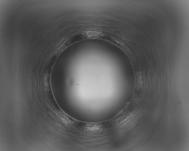 X0000054390667200507291145