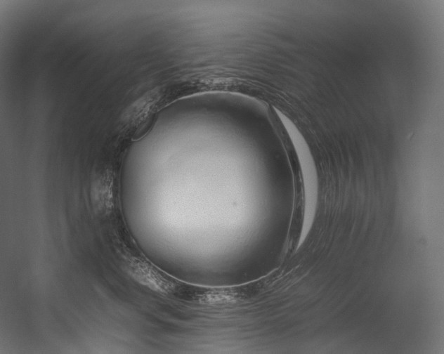 X0000054390668200507291145