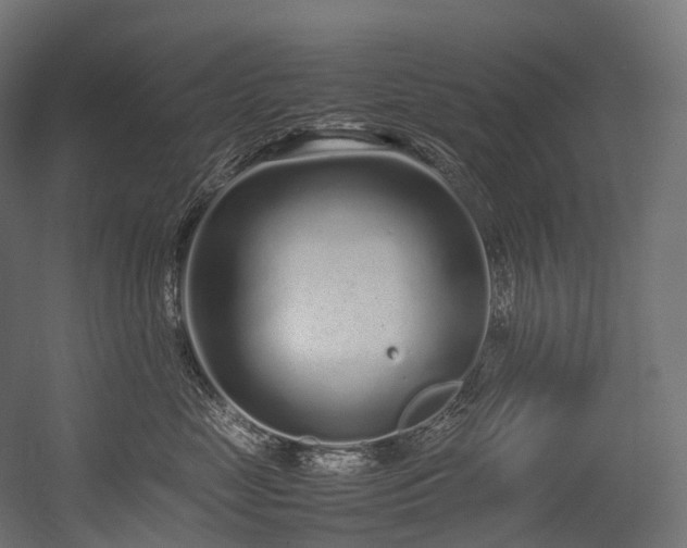 X0000054390669200507291145