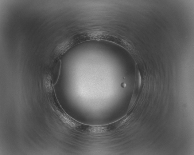 X0000054390670200507291145