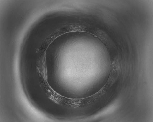 X0000054390671200507291145