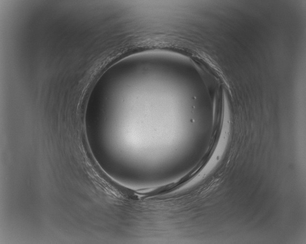X0000054390673200507291144