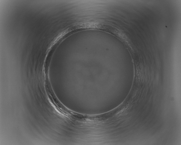 X0000054390674200507291144