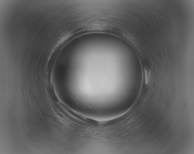 X0000054390675200507291144