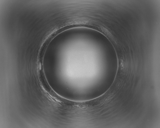 X0000054390676200507291144