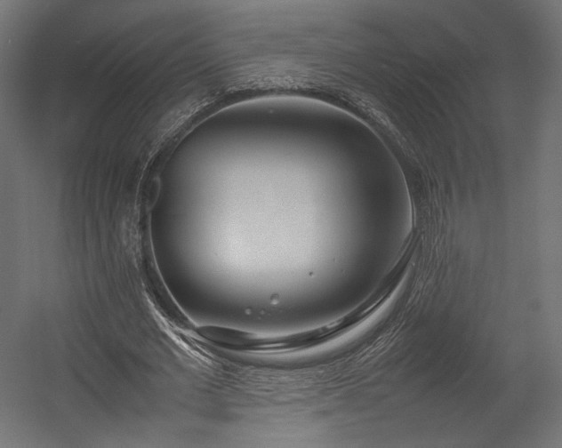 X0000054390677200507291144