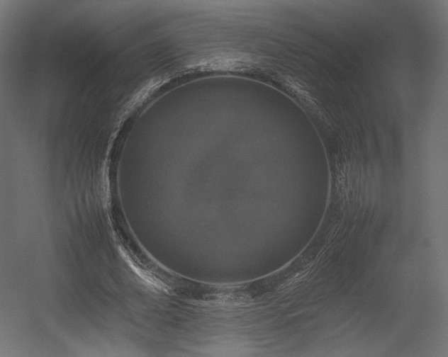 X0000054390678200507291144
