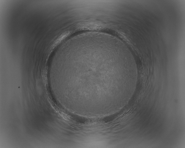 X0000054390679200507291144