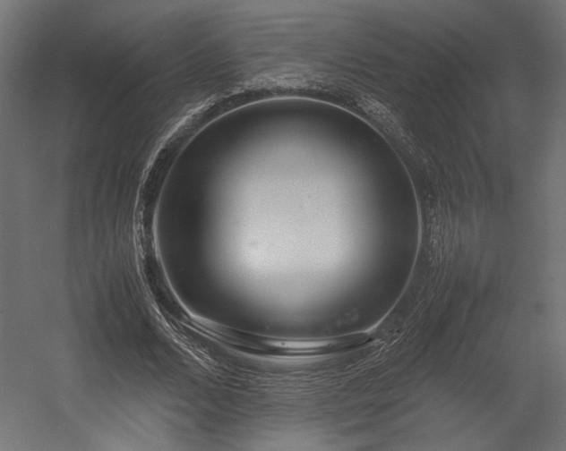 X0000054390680200507291144