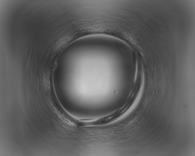 X0000054390681200507291144