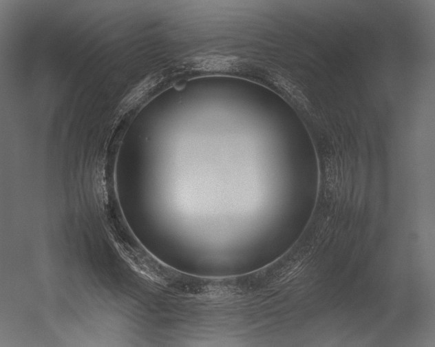 X0000054390682200507291144