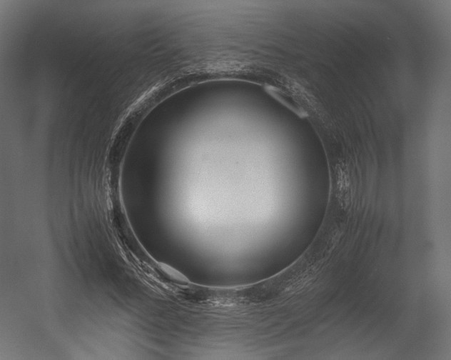 X0000054390684200507291144