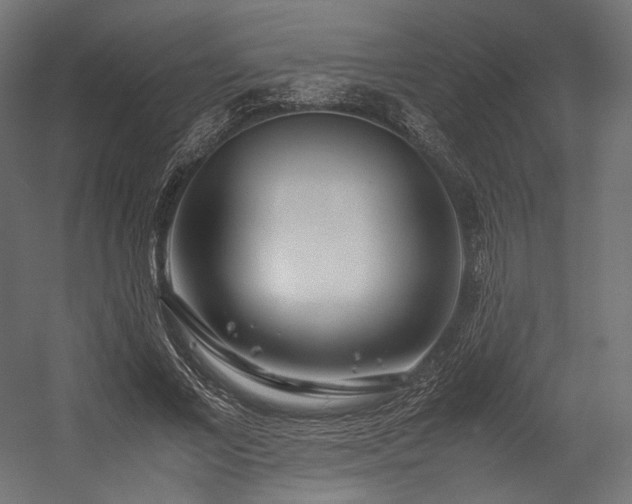 X0000054390685200507291144