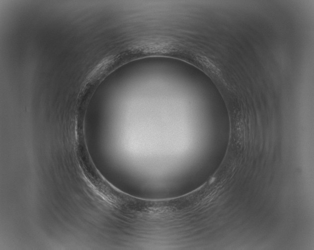 X0000054390686200507291144