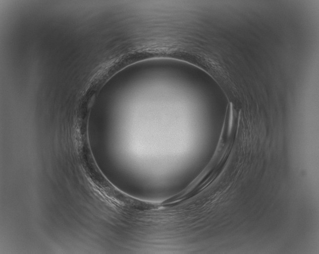 X0000054390688200507291144