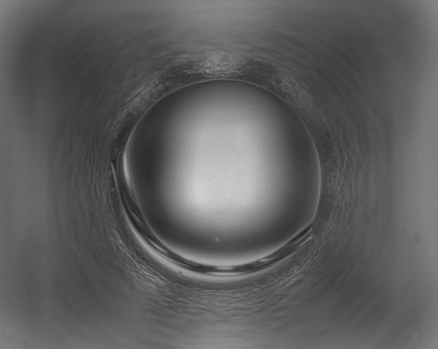 X0000054390689200507291144