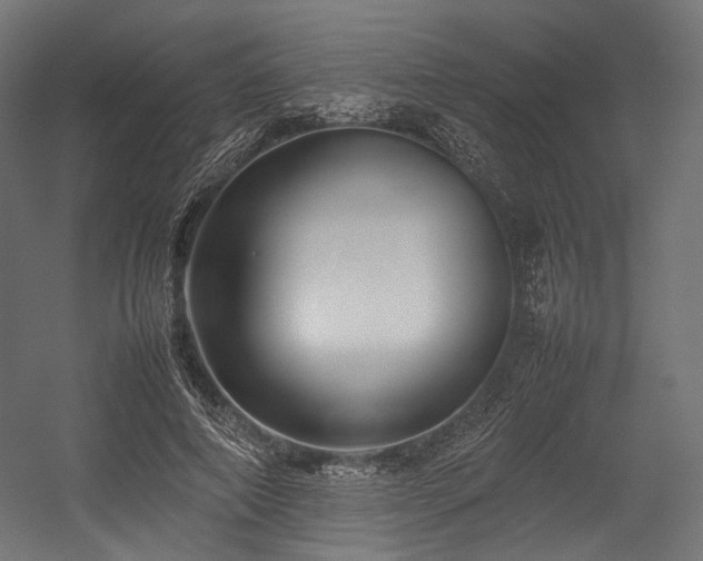 X0000054390690200507291144