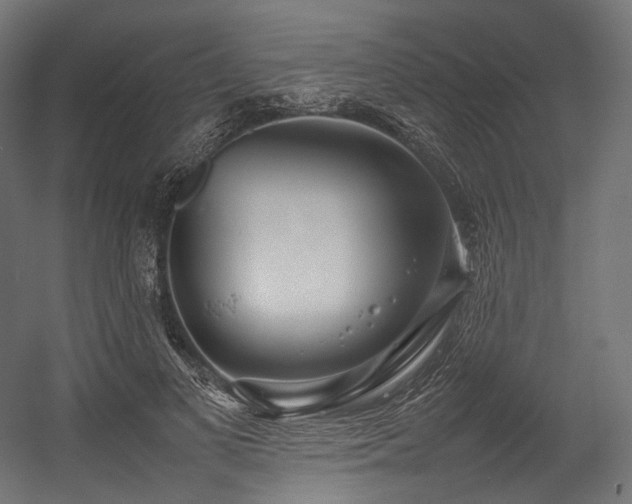 X0000054390693200507291144