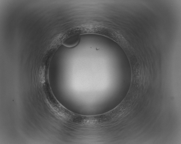 X0000054390694200507291144