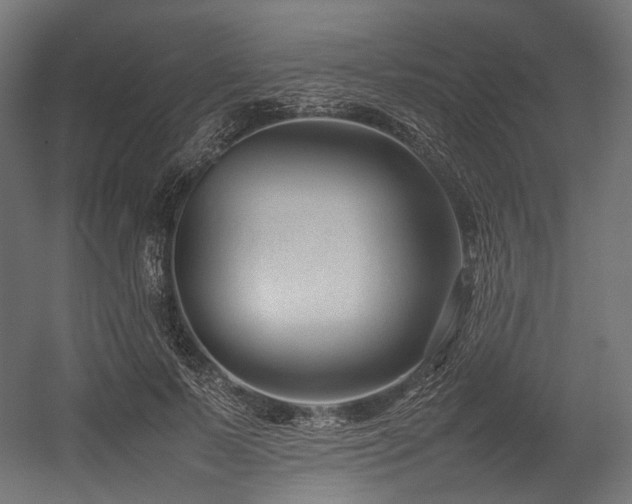 X0000054390695200507291144